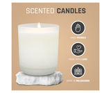 Sea Salt & Driftwood Medium Soy Candle - Frosted