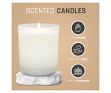 Basil & Cucumber Large Soy Candle - Frosted